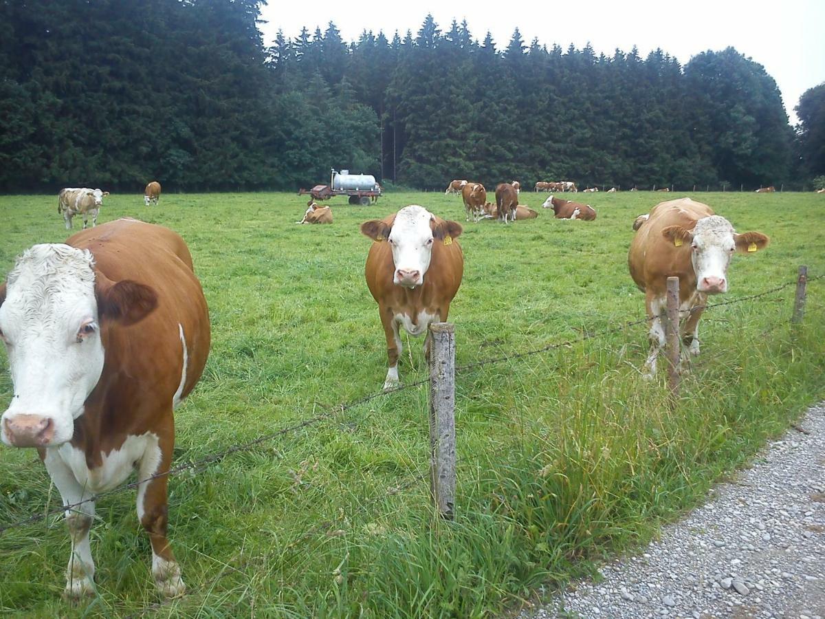 Ferienwohnung Auf Dem Lechsberg Fuchstal 外观 照片